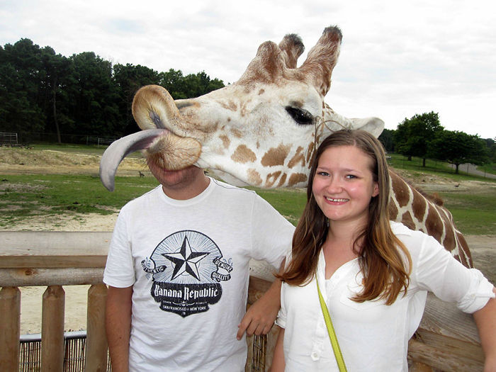 Funny Animal Photobombs