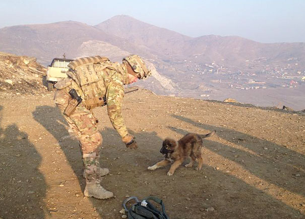 This Little Guy Kept Us Company On A Mountaintop North Of Kabul, Afghanistan