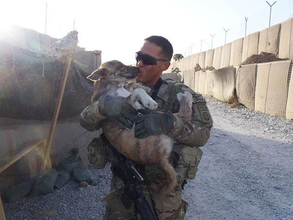 My Friend Rescuing A Dog In The Streets Of Afghanistan