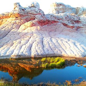 White Pocket - Vermilion Cliffs National Monument, Usa - Reflection Pool