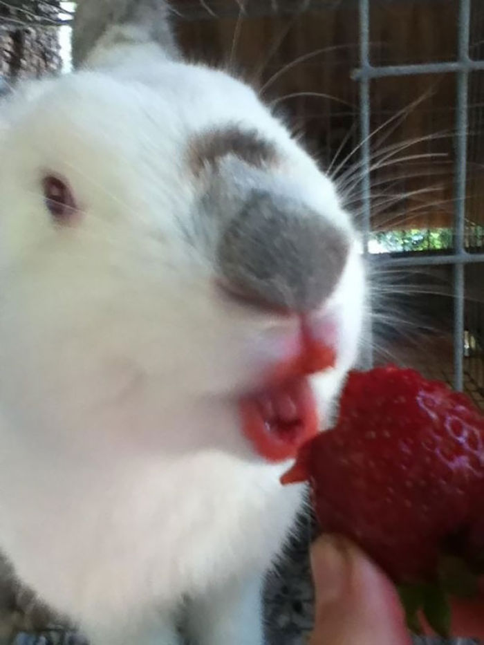 Strawberry Lipstick