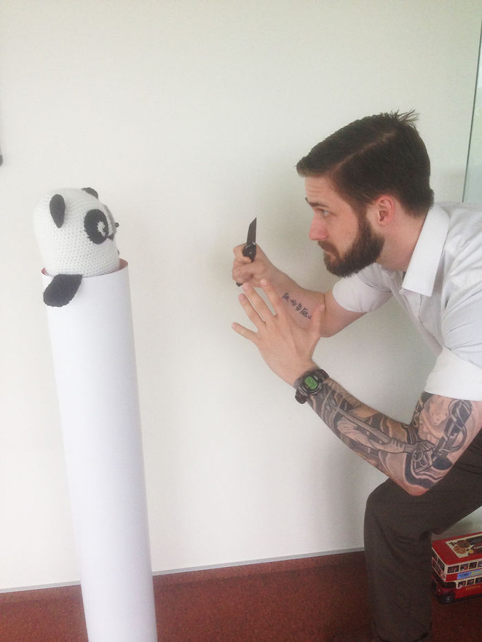 Panda-fight!