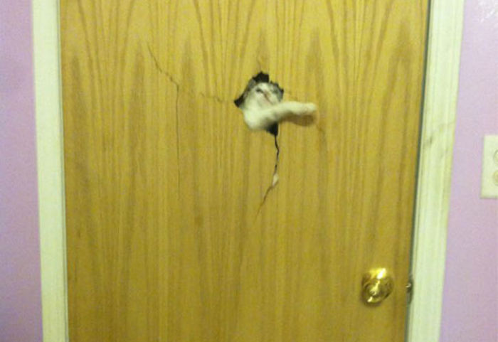 If You Don't Let Me In I Will Let Myself In