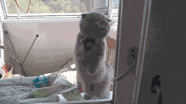 Omg Let Me In!
