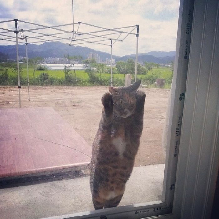 Any Day Now, Human