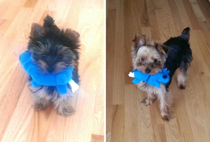 Benny And His Favorite Toy Nine Months Later