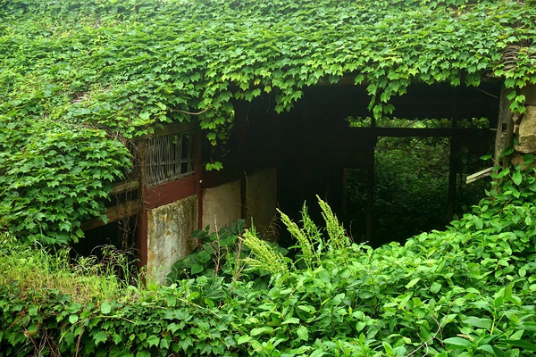 abandoned-village-zhoushan-china-1
