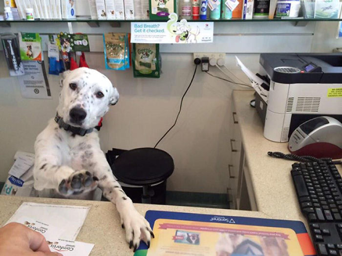 Sir, I Will Be With You In A Moment