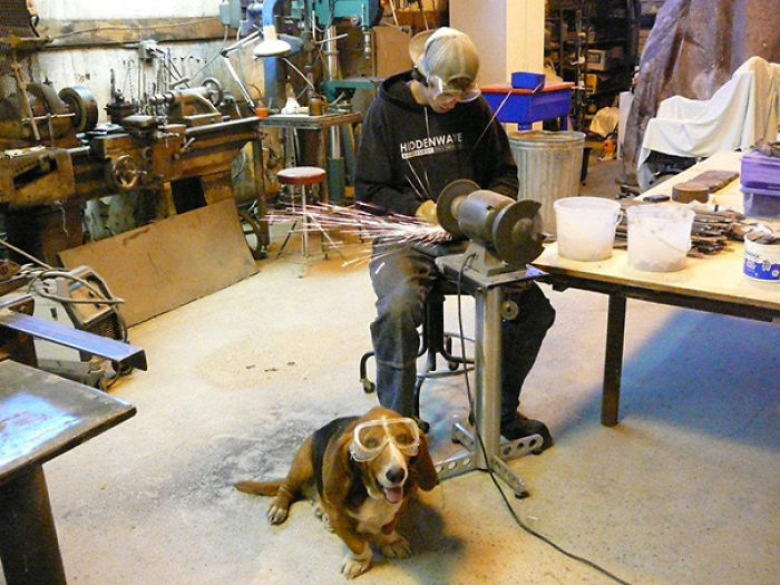 My Brother's Dog Likes To Help Him At Work
