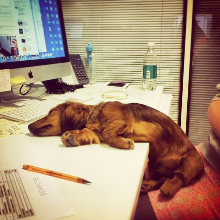 After A Hard Day In The Office
