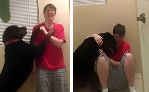 Dog Saves Owner With Asperger's Syndrome From  Violent Meltdown
