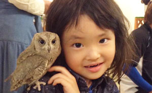 Take A Look Inside One Of Tokyo's Owl Cafes