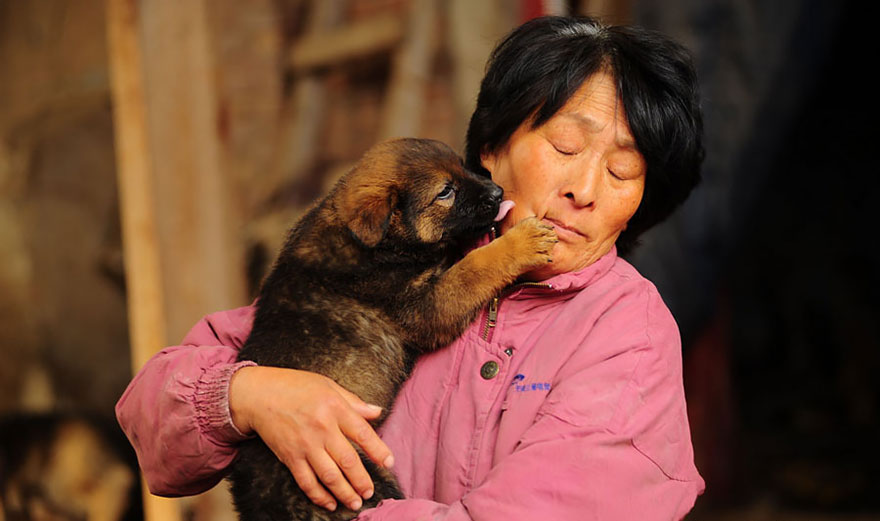 rescued-dogs-yulin-dog-meat-festival-china-19