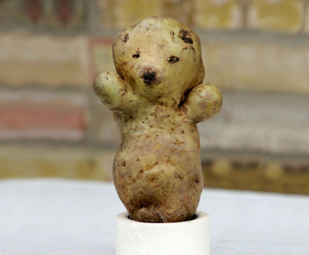 A Bear-shaped Potato