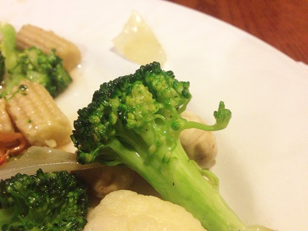 This Broccoli Has Something To Say To You
