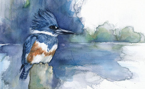 My Watercolor Paintings Of Birds