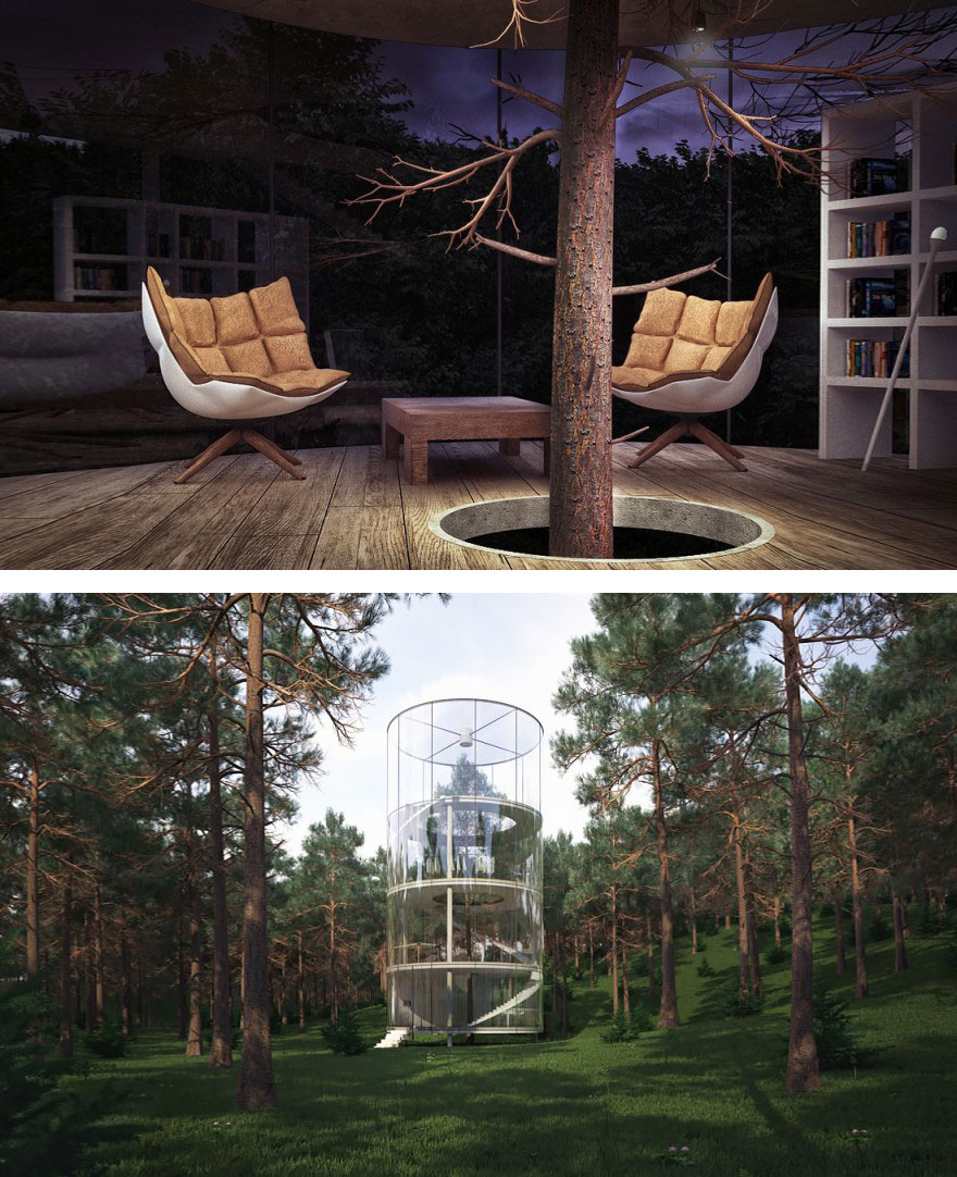 Cylindrical Glass House Built Around A Tree