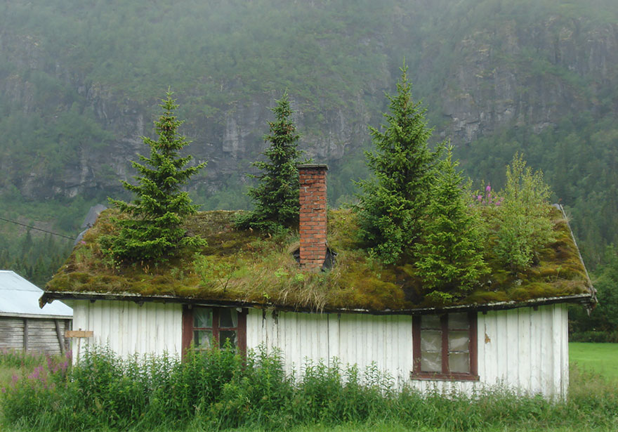 House In Norway
