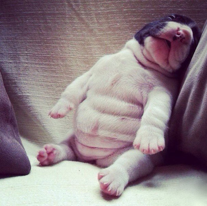 Sleeping Beauty
