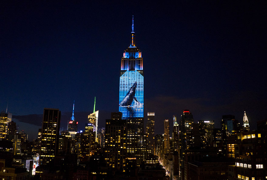 empire-state-projection-endangered-animals-nyc-10