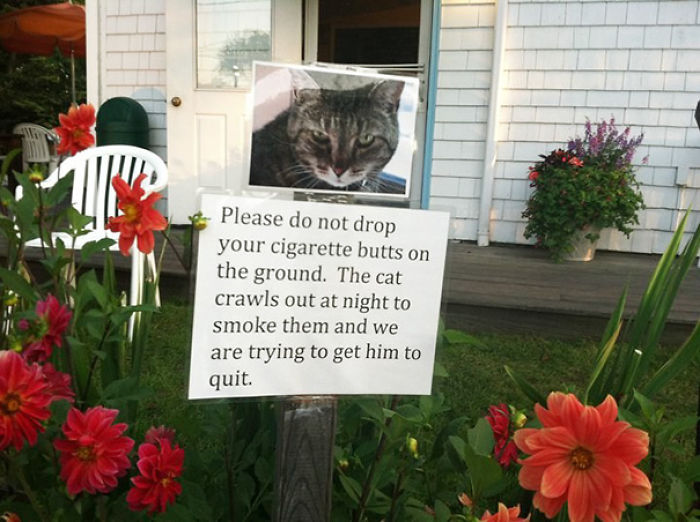 Seems Legit