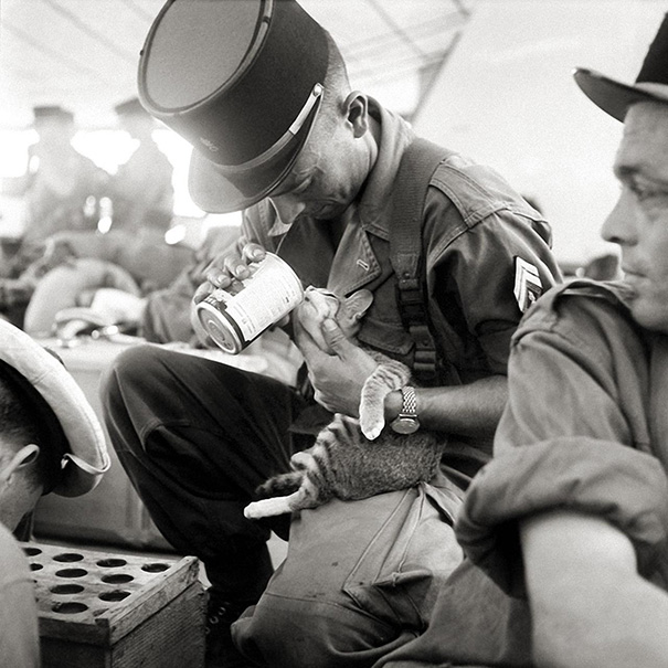 A French Soldier Feeding His Kitten, Indochina 1956