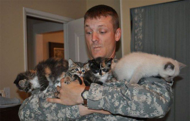 Every Cat Loves A Man In Uniform