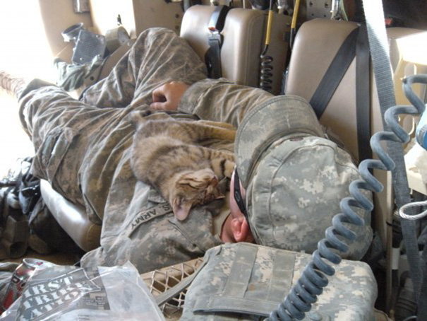 Stray Kitten Sleeping On My Buddy, Afghanistan 2009