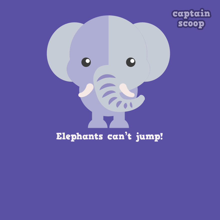 Fakta Unik Gajah