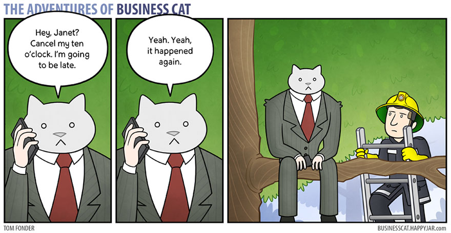 Aventurile Pisicii Business 8