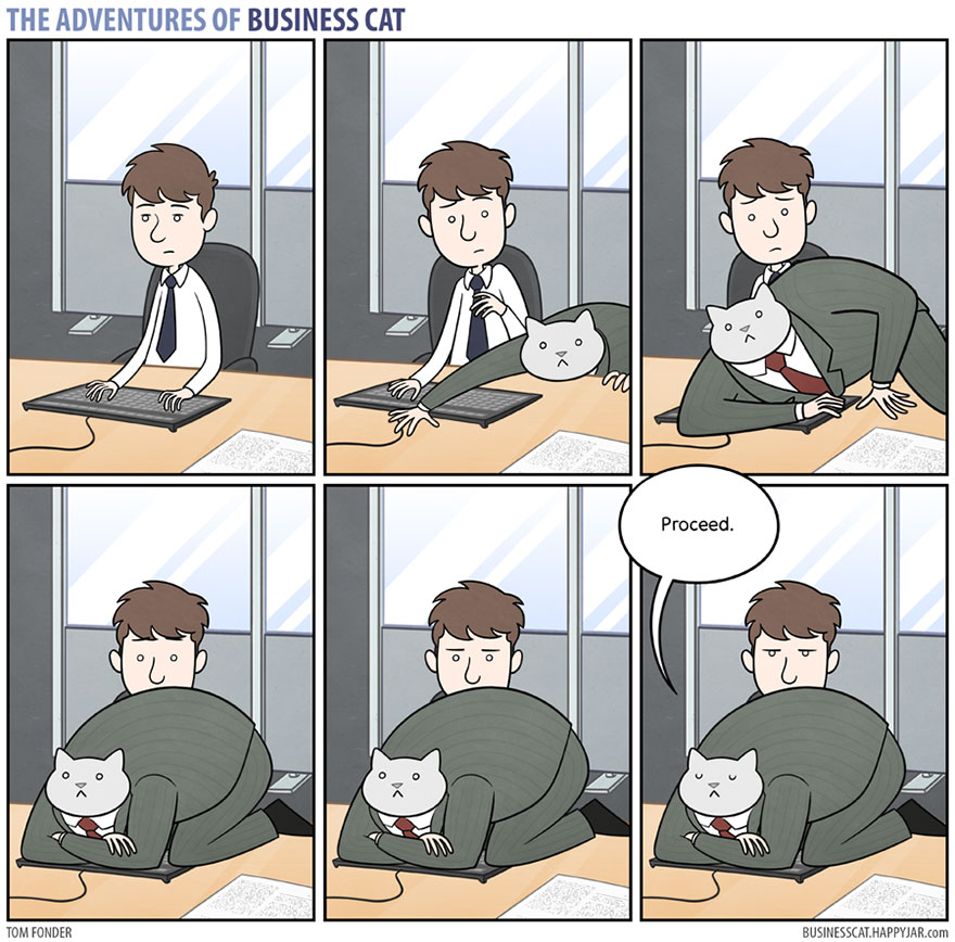 Image result for cat business cartoon