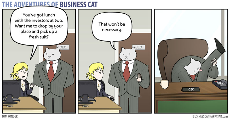 Aventurile Pisicii Business 9