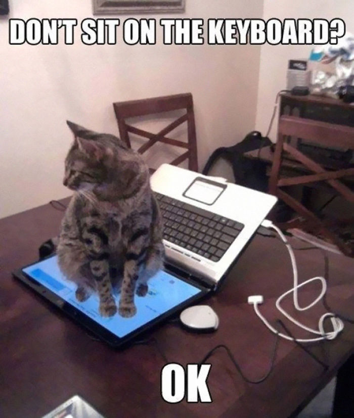 Don't Sit On The Keyboard?