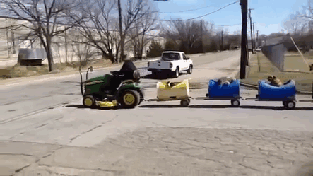 rescued-dog-train-tractor-stray-eugene-bostick-gif-1