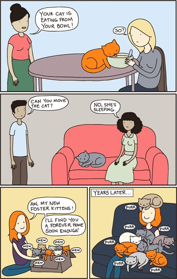 15+ Funny Comics Reveal The Reality Of Owning A Cat