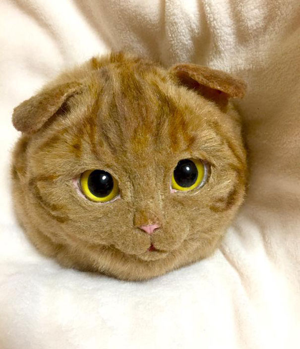 Torba w kształcie kota od Pico - nowy szał w Japonii. Cat bag from Pico - new craze in Japan.