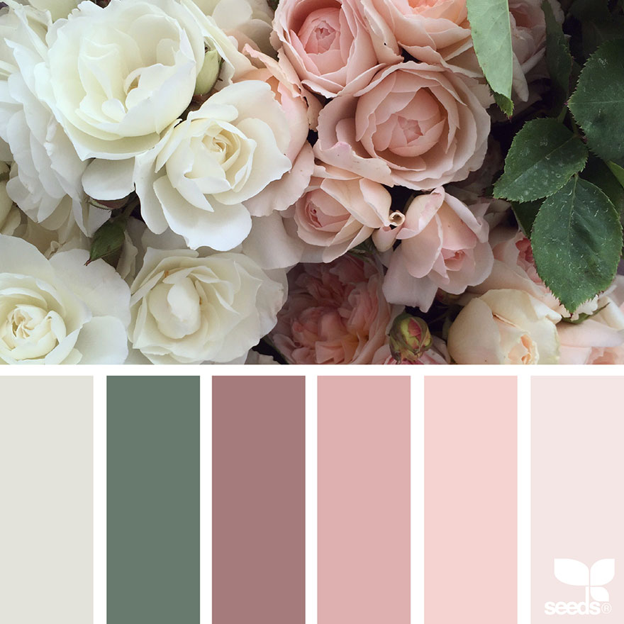 nature-colors-palette-design-seeds-jessica-colaluca-13