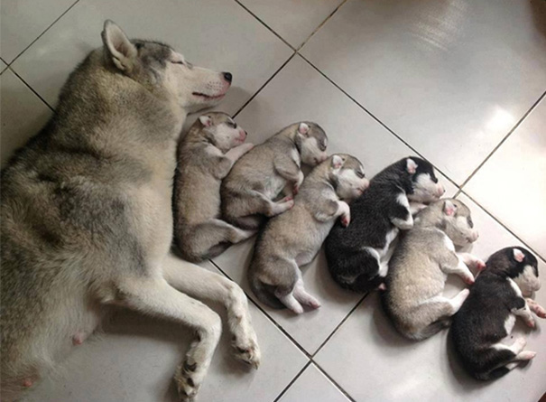Proud Mommy