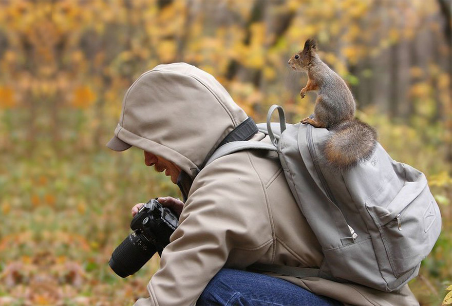 25 Razones por las que ser fotógrafo de la naturaleza es el mejor trabajo que puedes tener