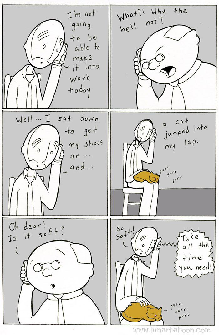 Life With Cats By Lunarbaboon (10+ Comics) Bored Panda