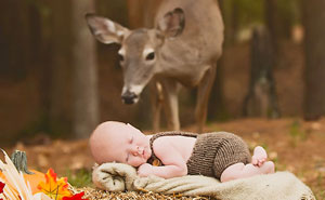 Deer Photobombs Baby's Photoshoot And Turns It Into A Fairytale