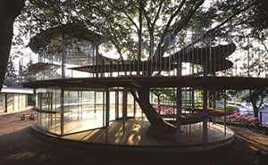 Japanese Kindergarten Built Around A Tree With A Legendary Story