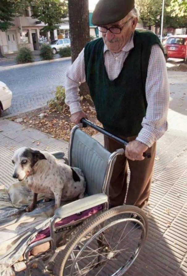 Câinele acestui om nu poate să mai meargă așa că acesta îl duce zilnic la plimbare într-un scaun cu rotile