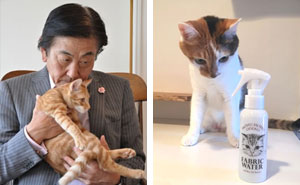 Now You Can Make Everything Smell Like Cat Head Using This Japanese Spray