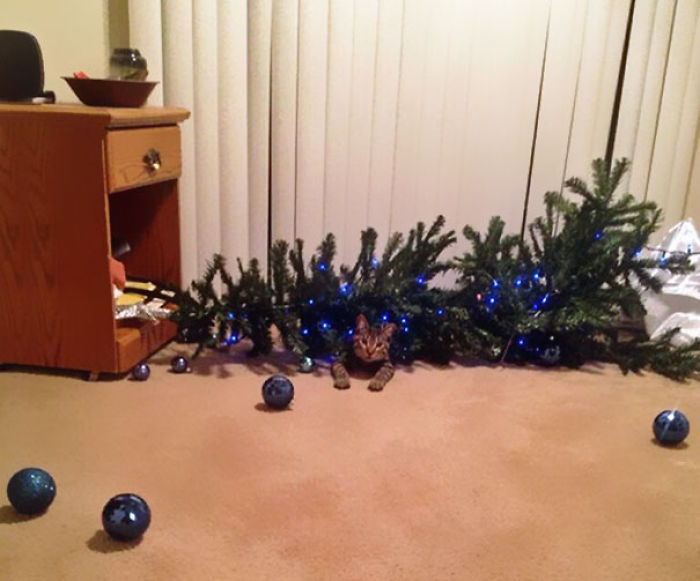 It Hasn't Even Been Up for 3 Minutes