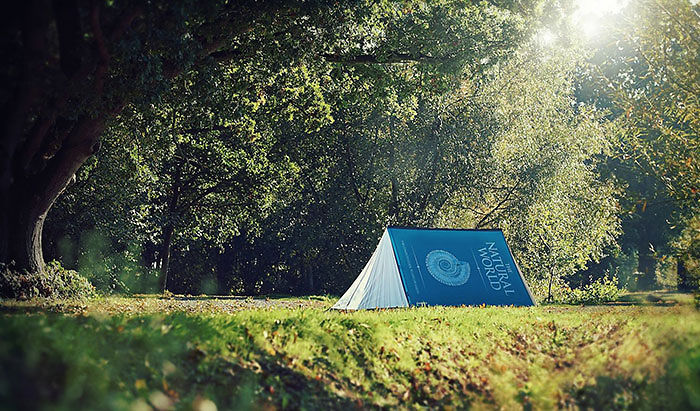 Fully Booked 2-Person Tent