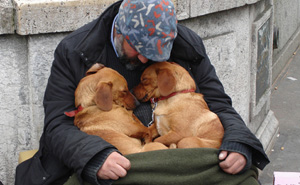 15+ Photos That Prove Dogs Love You No Matter How Much Money You Don’t Have