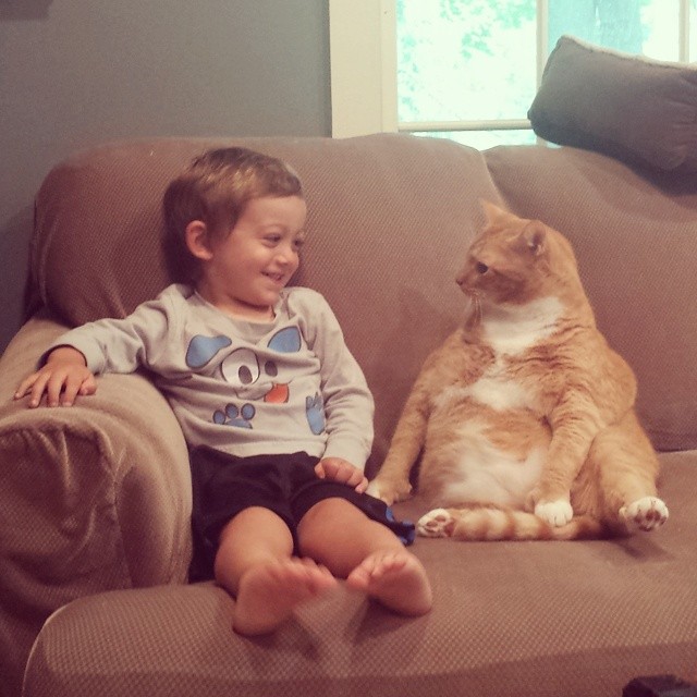 baietel cu o pisica cei mai buni prieteni-10