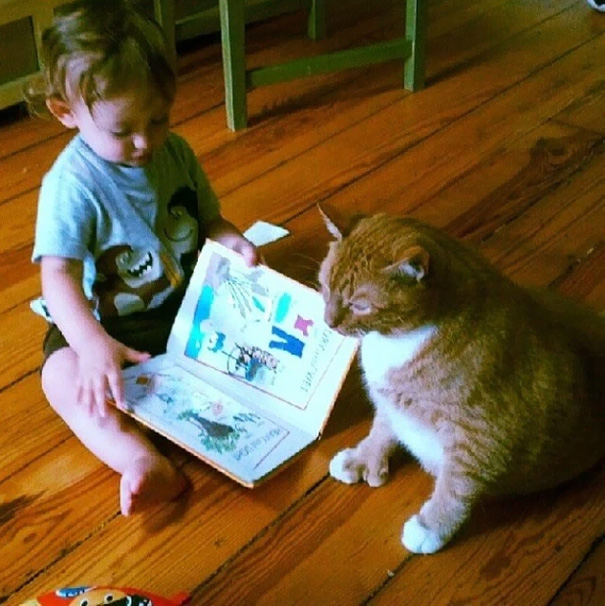 baietel cu o pisica cei mai buni prieteni-2