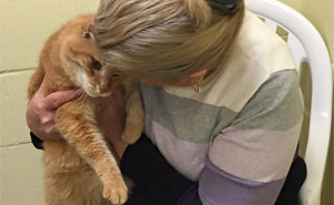 Woman Adopts Senior Cat, Later Comes Back To Shelter For His 16-Year-Old Best Friend